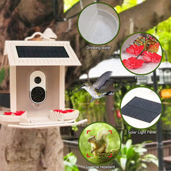 Lintujen syöttölaite kameralla ja AI-lintutunnistuksella puutarhaan - Sisäänrakennetulla aurinkokennolla