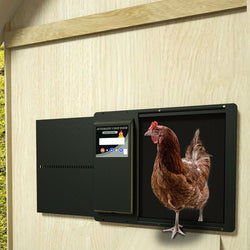 Automata csirke bőrnyitó csirke bőrrel - Luxus modell - Fém akkumulátorral, napelemekkel és egyszerű programozással
